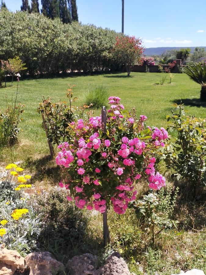 شقة Le Rose أولميدو المظهر الخارجي الصورة