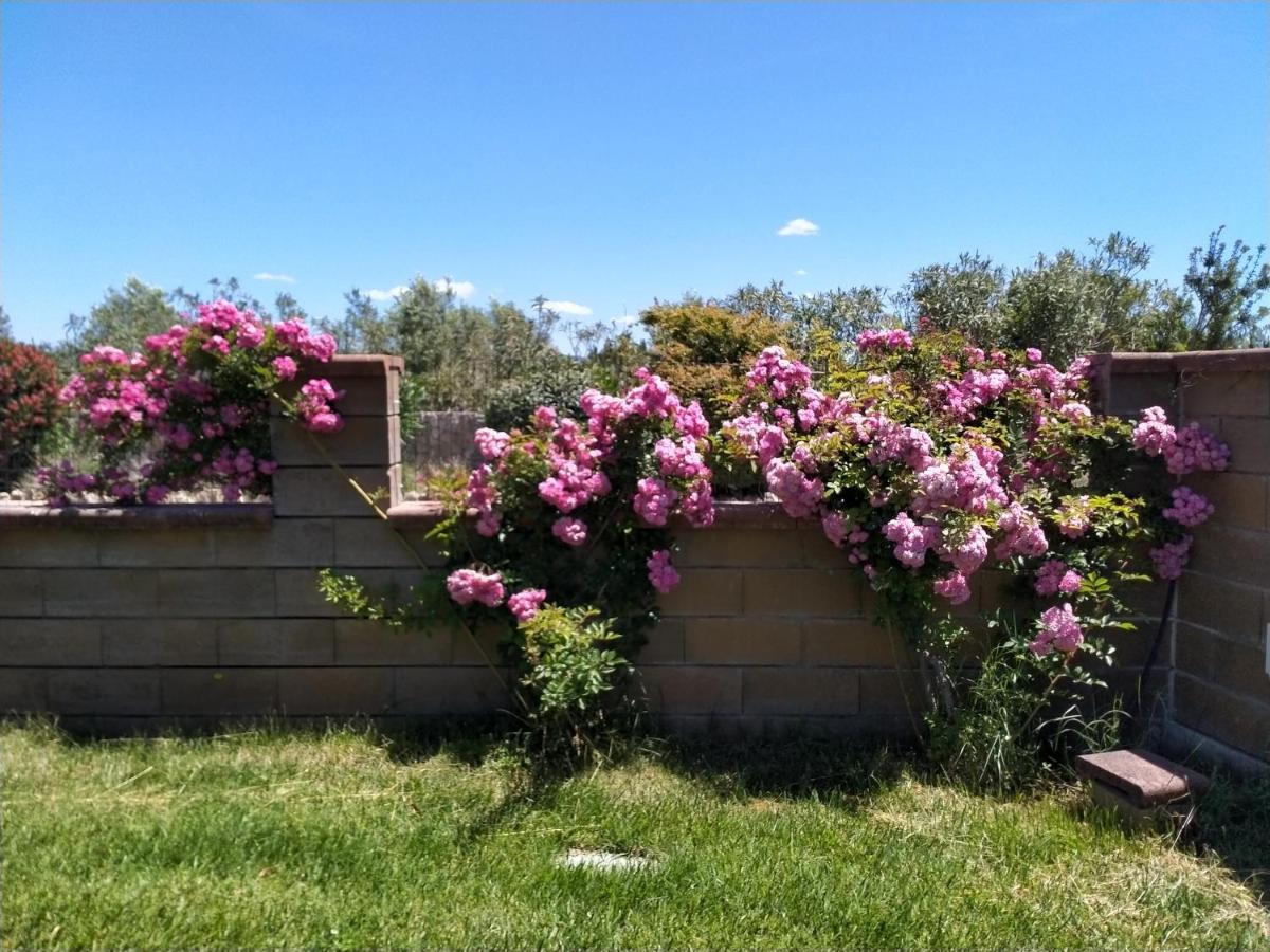 شقة Le Rose أولميدو المظهر الخارجي الصورة