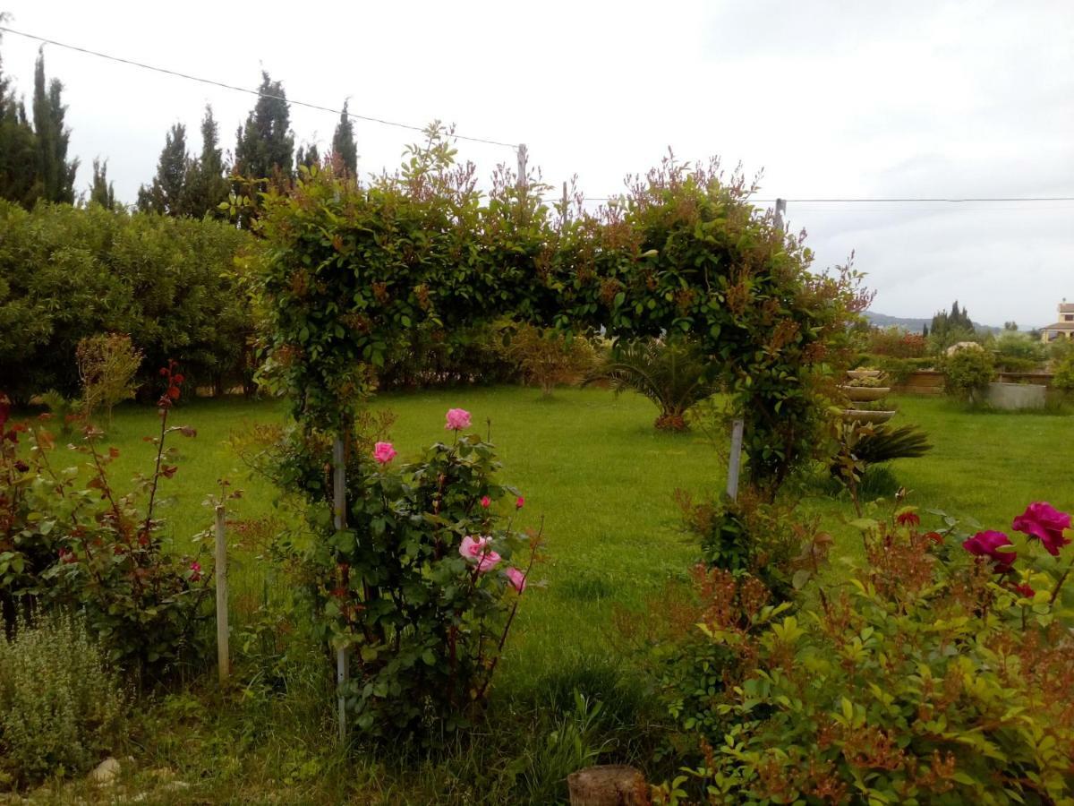 شقة Le Rose أولميدو المظهر الخارجي الصورة